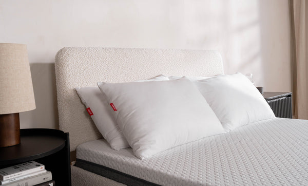 Everyday Pillow